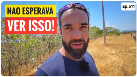 Foto de capa